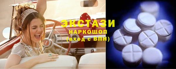 хмурый Дубна