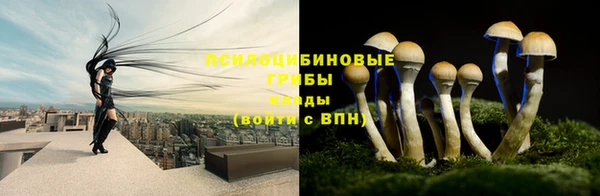 амф Карпинск