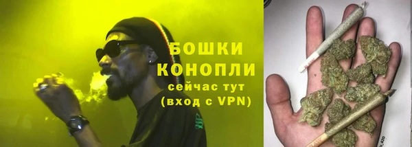 амф Карпинск