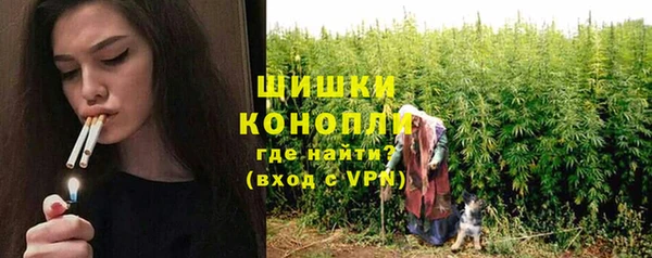 амф Карпинск