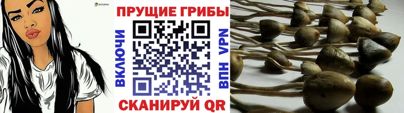 Псилоцибиновые грибы GOLDEN TEACHER  Киржач 