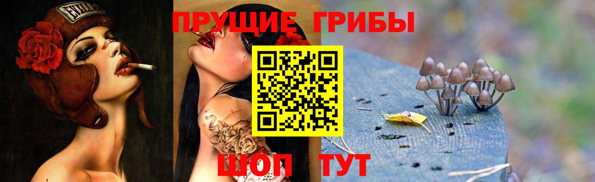 Киржач  где продают наркотики  Вход с VPN  Псилоцибиновые грибы Psilocybe 